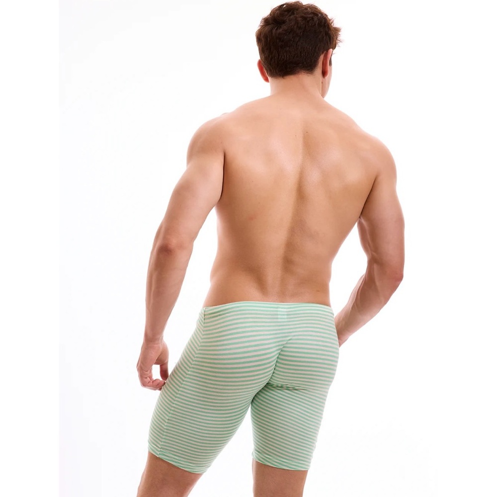 N2N BODYWEAR Pinstripe Biker Underwear - Picture 3 of 10